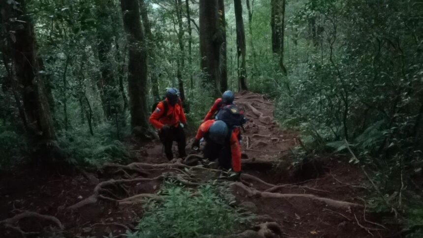 4 Pendaki Tersesat di Gunung Batukaru Bali Dievakuasi Tim SAR